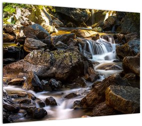 Obraz na szkle skalistego strumienia (70x50 cm)