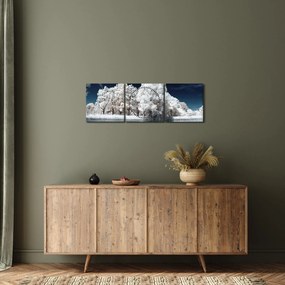 Obraz - Śnieżnobiałe drzewa (z zegarem) (90x30 cm)