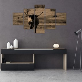 Obraz - Krowa z Teksasu (125x70 cm)