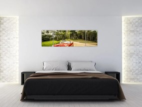 Obraz - zabytkowy samochód w przyrodzie (170x50 cm)