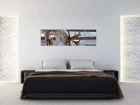 Obraz - Sat (170x50 cm)