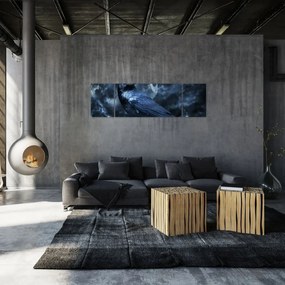 Obraz - Gawron (170x50 cm)