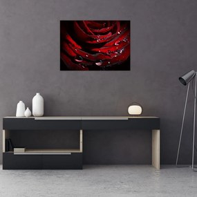 Obraz - Detal róży (70x50 cm)