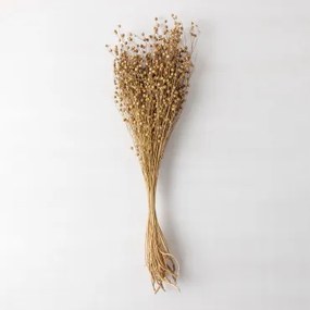 Bukiet Dekoracyjnych Suszonych Kwiatów Bairad Pszenica Brązowa - Sklum