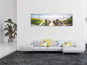 Obraz - Wejście na plażę (170x50 cm)