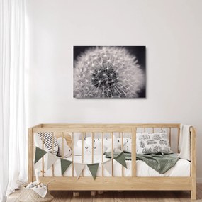 Obraz na szkle dmuchawca (70x50 cm)