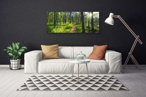 Obraz canvas Droga przez Dziki Las