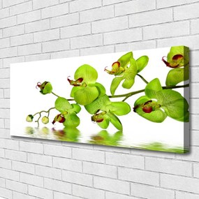 Zdjęcie na płótnie Kolorowy Ogród Botaniczny