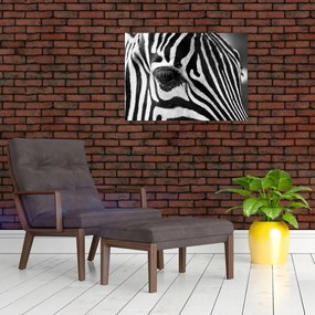 Obraz na szkle - zebra (70x50 cm)