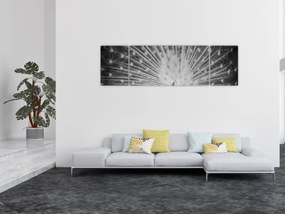 Obraz - Biały paw (170x50 cm)