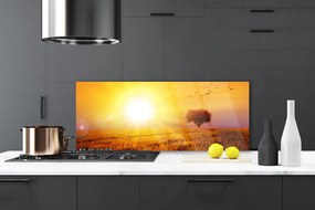 Panel Szklany Wieczorny Lot nad Łąką