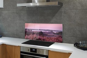 Szkło do Kuchni na Ścianę Wrzosy w Pełnym Rozkwicie