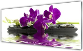 Panel Szklany Letni Ogród na Płótnie