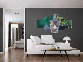 Obraz kotków (125x70 cm)