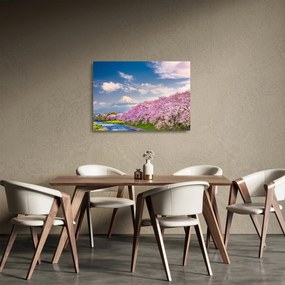 Obraz na szkle - Japoński wiosenny krajobraz (70x50 cm)