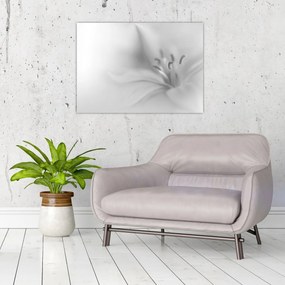 Obraz - Delikatna lilia (70x50 cm)