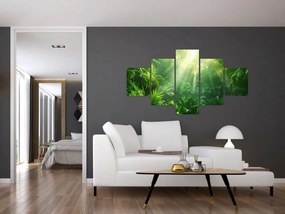 Obraz - Las deszczowy (125x70 cm)
