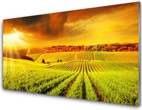 Panel Kuchenny Złota Godzina Nad Polem