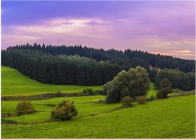 Obraz na szkle - łąka (70x50 cm)