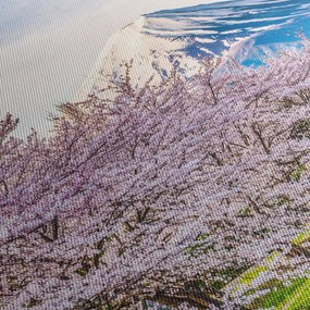 Obraz - Japonia wiosną (170x50 cm)