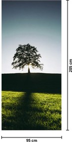 Fototapeta na drzwi - Drzewo (95x205cm)