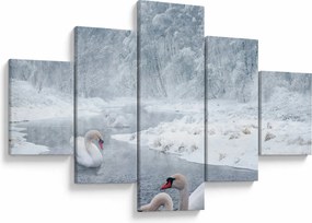 Obraz łabędzi (125x70 cm)