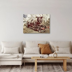 Historyczny wizerunek lokomotywy (70x50 cm)