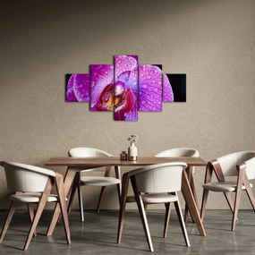 Zbliżenie kwiatu orchidei (125x70 cm)