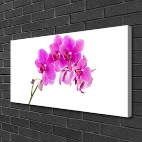 Obraz Canvas Storczyk Kwiat Orchidea