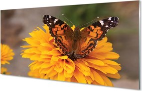 Panel szklany do Kuchni Barwny Motyl w Zbliżeniu