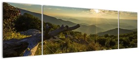 Obraz - Widok na otoczenie (170x50 cm)