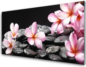 Szkło do Kuchni na Ścianę Egzotyczny Kwiat Plumerii