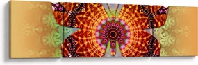 Obraz - Etno motyl (170x50 cm)