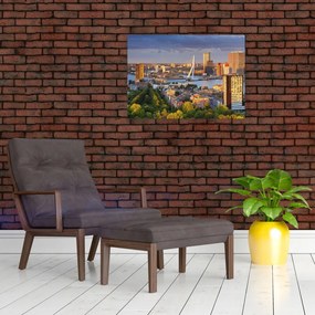 Obraz - Panorama Rotterdamu, Holandia (70x50 cm)