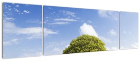 Obraz plaży z drzewem (170x50 cm)