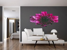 Obraz różowego kwiatu róży (125x70 cm)