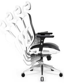 Fotel ergonomiczny Diablo V-Basic, biało-czarny