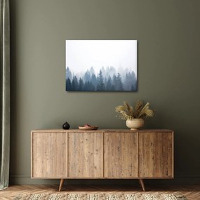 Obraz - Mglisty las (70x50 cm)