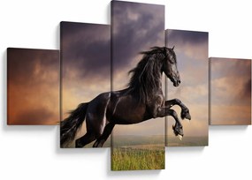 Obraz - Konie (125x70 cm)