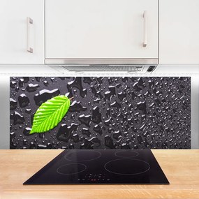 Szkło do Kuchni na Ścianę Rosa Na Młodym Liściu