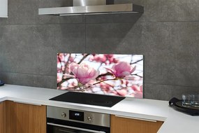 Panel nad Blat Kuchenny Magnolie w Sercu Parku