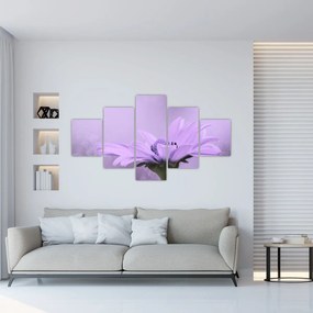 Obraz - Fioletowy kwiat (125x70 cm)