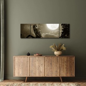 Obraz - Nocna sowa, złoty (170x50 cm)