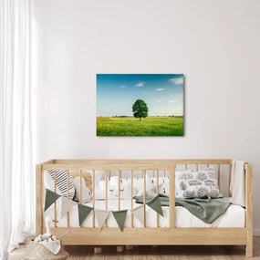 Obraz drzewa na środku łąki (70x50 cm)