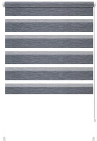 Antracytowa roleta dzień i noc 72,5x150 cm Zebra Silvalin – Gardinia
