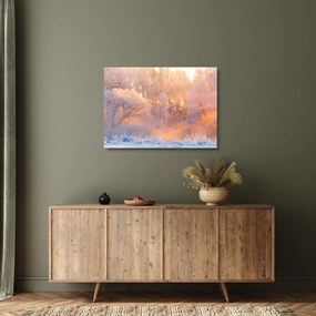 Obraz na szkle - Mroźny świt (70x50 cm)