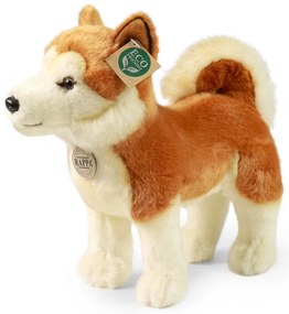 Rappa Pluszowy pies Akita Inu 30 cm