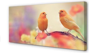 Obraz canvas na ścianę Stado Kolorowych Papug