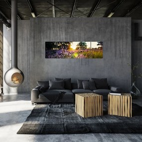 Obraz pola lawendy (170x50 cm)