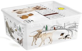 Biały plastikowy pojemnik z pokrywką 40x34x17 cm C Box Style – KIS